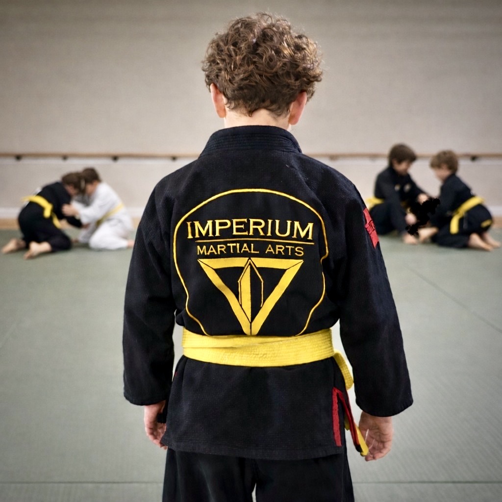 Kids martial arts program at Imperium